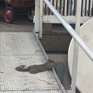 Meet your Posher, Malachi