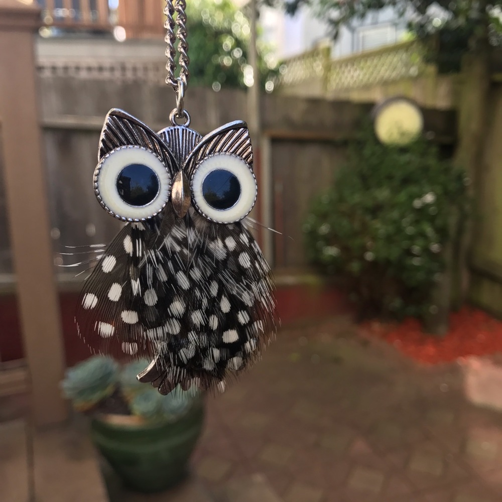 Owl Feather Necklace