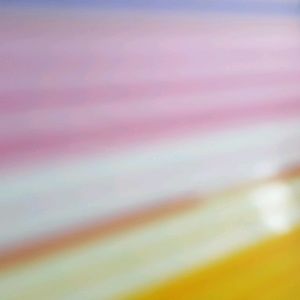 Meet your Posher, Monique