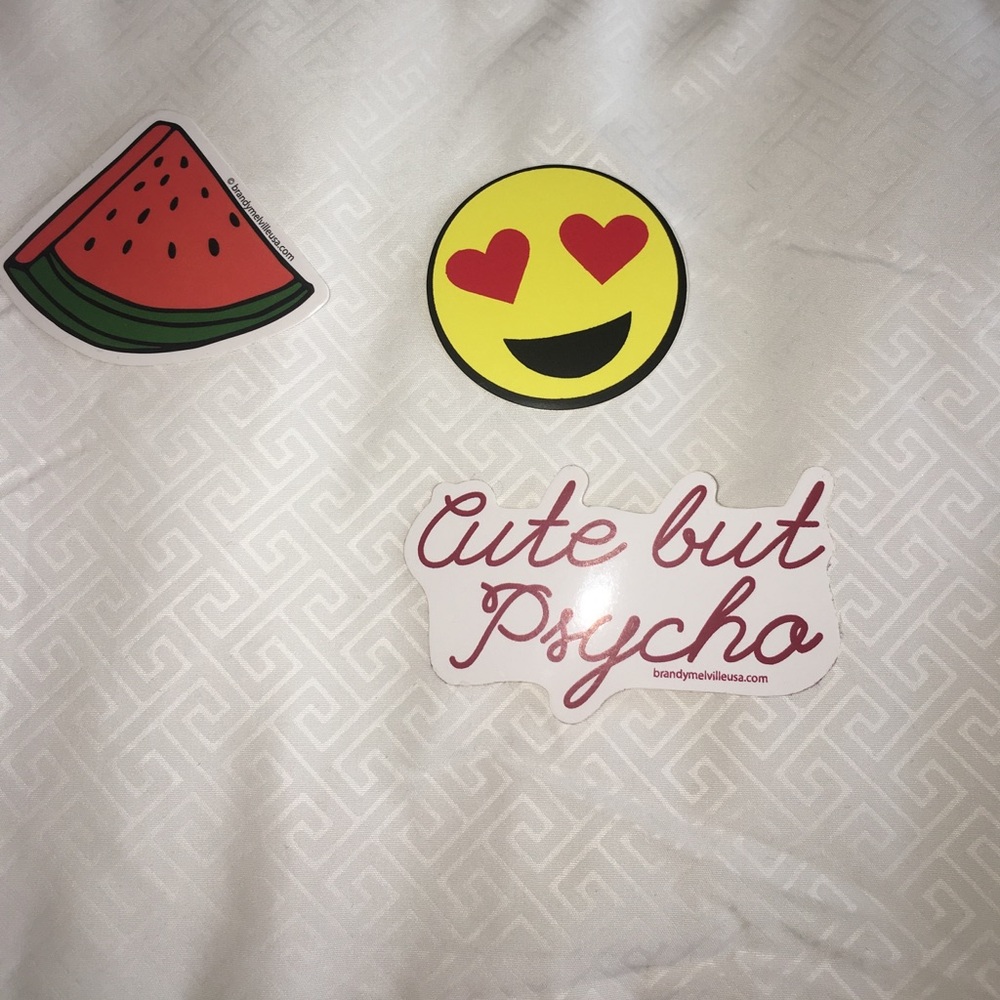 extremely rare brandy melville stickers