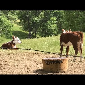 Meet your Posher, Christie