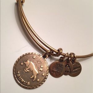 Alex and Ani bracelet