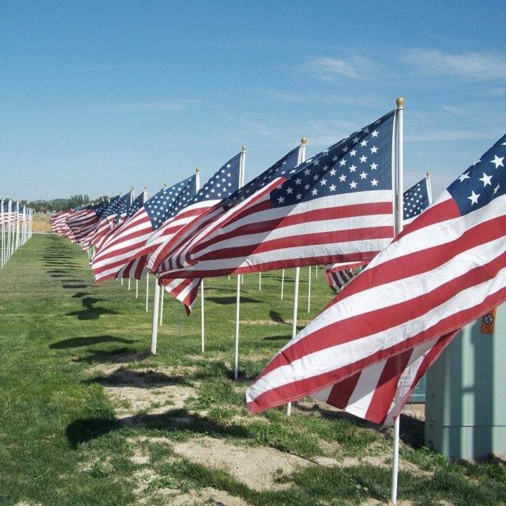 Meet your Posher, Anna-steve