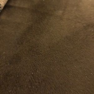 Meet your Posher, Shaune