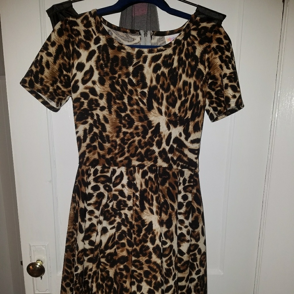 LLR Amelia