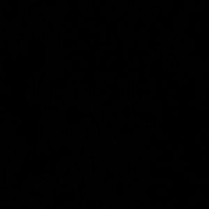 Meet your Posher, Rose