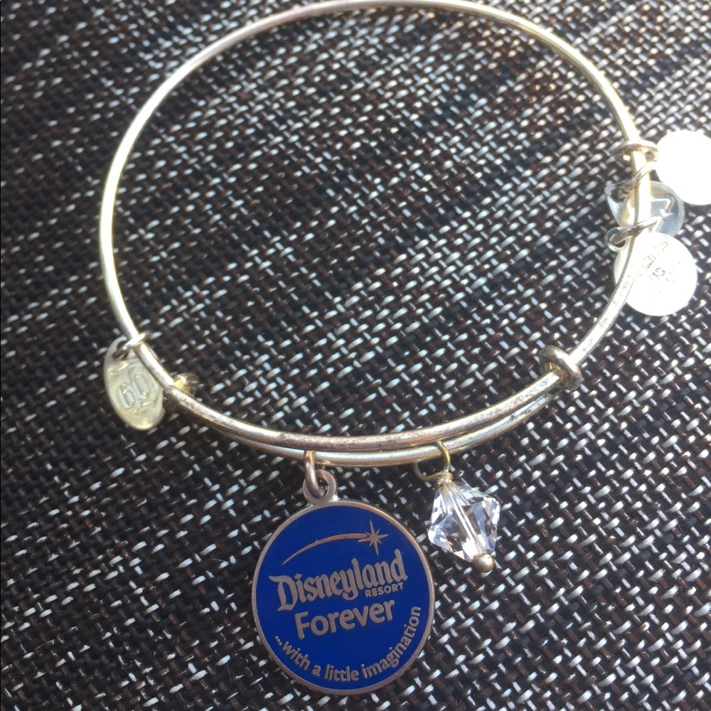Disneyland forever Alex and Ani bracelet