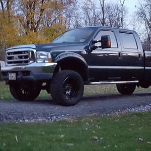 Meet your Posher, Troy