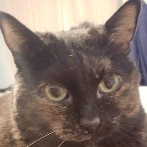 Meet your Posher, Enza