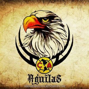 Meet your Posher, Lorenzo