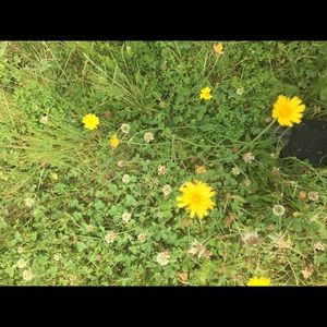 Meet your Posher, Mia