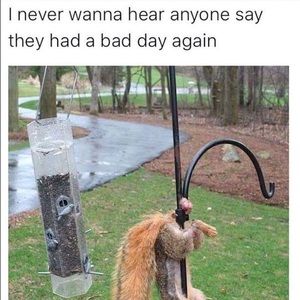 Meet your Posher, Hector