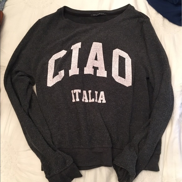 Wildfox Sweaters - Ciao WILDFOX beach jumper