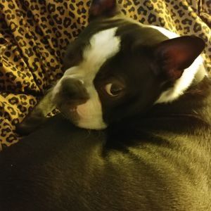 Meet your Posher, Sandy