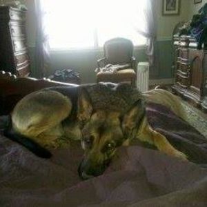 Meet your Posher, Betsy