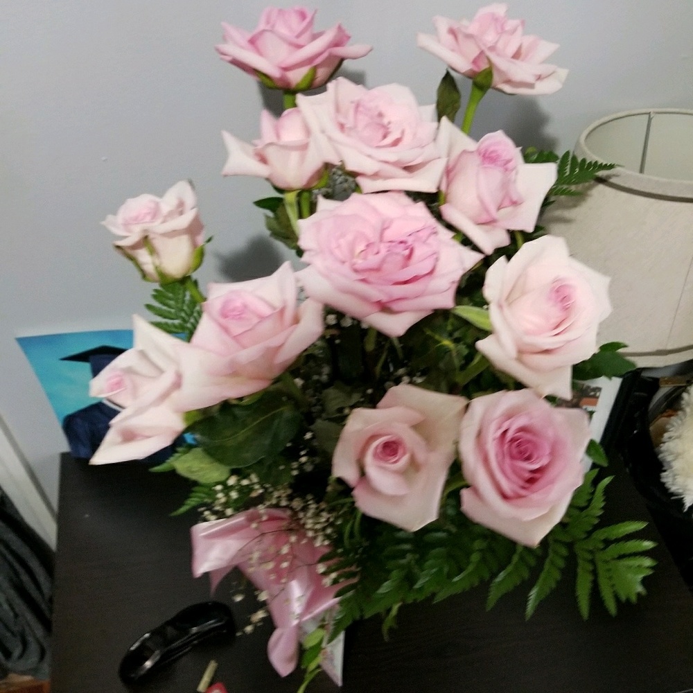 Meet your Posher, Rosa