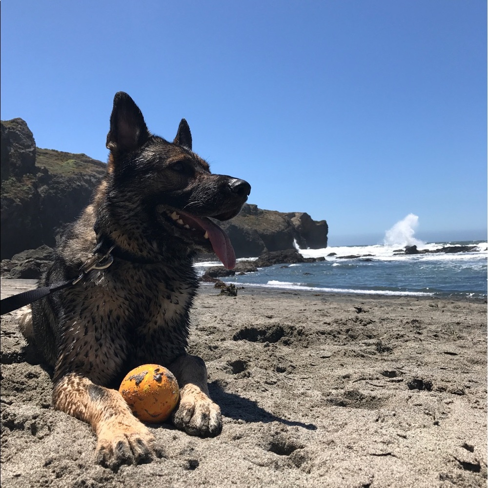 Meet your Posher, Chelsea