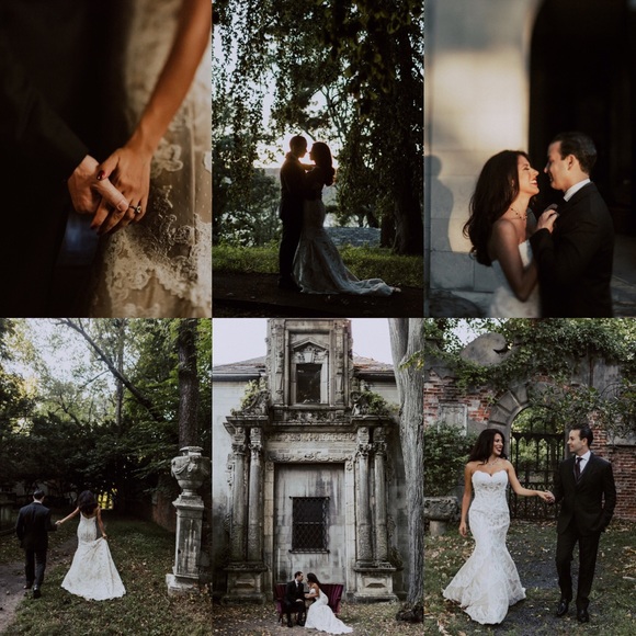 Meet your Posher, Daisy - Picture 4 of 8