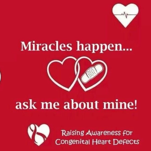 Meet your Posher, Daisy - Picture 7 of 8