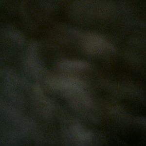 Meet your Posher, Kamrin