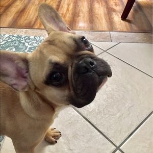 Meet your Posher, Shawn