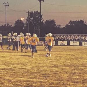 Meet your Posher, Dawson