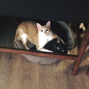 Meet your Posher, Michelle