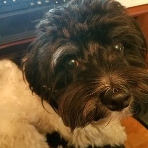 Meet your Posher, Donna