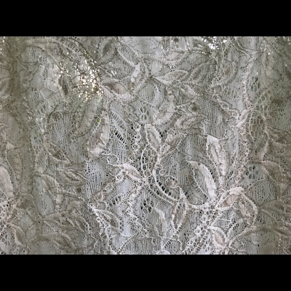 Yansi Fugel Sheer Cream Lace Wide Neckline Blouse