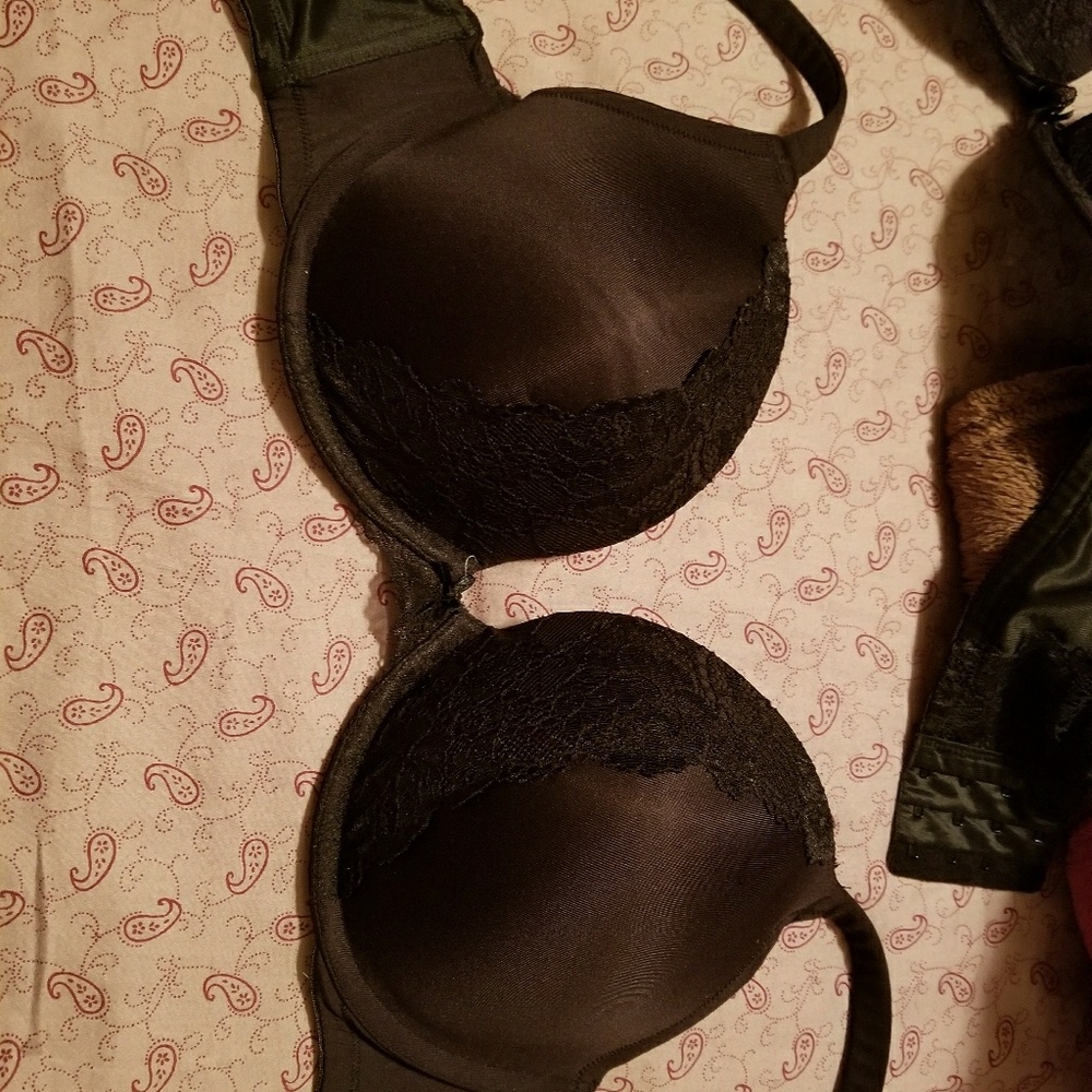 Lane Bryant push up bra
