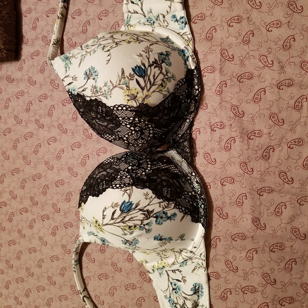 Lane Bryant  push up bra size 36dd