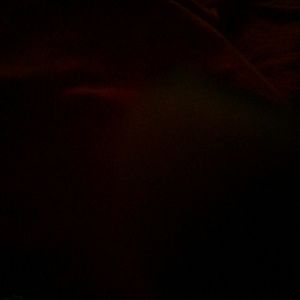 Meet your Posher, Tamara