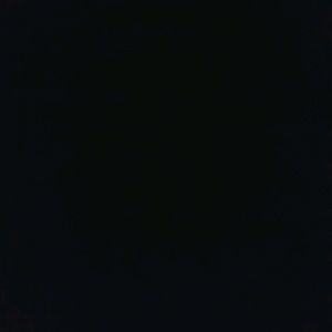 Meet your Posher, Troy