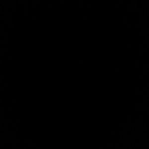 Meet your Posher, Tamara