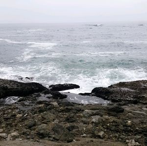 Meet your Posher, Wendy