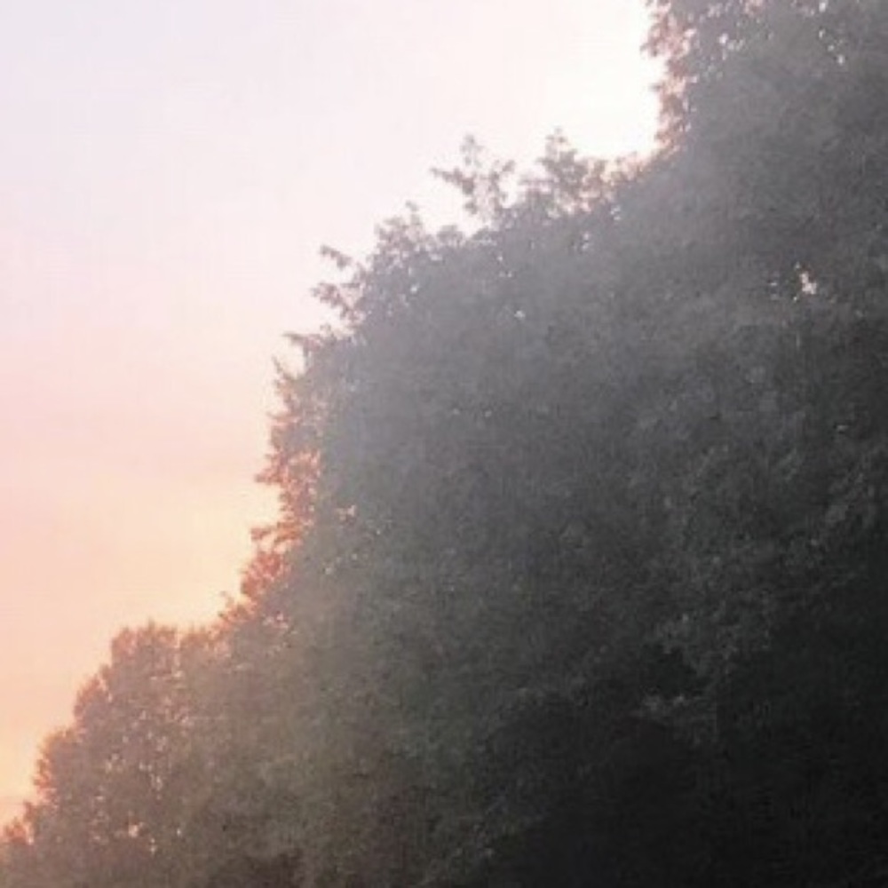 Meet your Posher, Evan