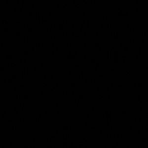 Meet your Posher, Abrina