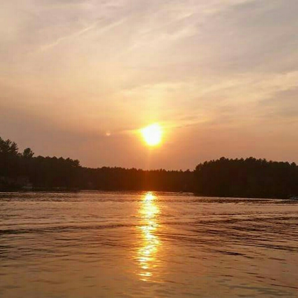 Meet your Posher, Laurie