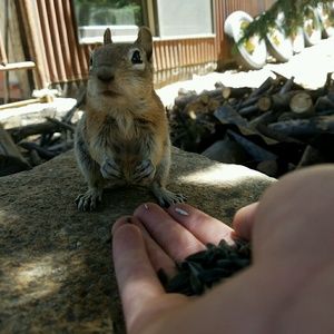 Meet your Posher, Trevor