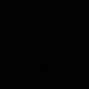 Meet your Posher, Sofia