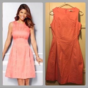 New York and Co Eva Mendes Maria Jacquard Dress