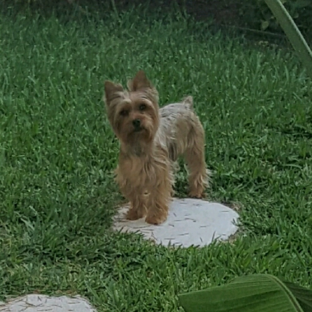 Meet your Posher, Janette