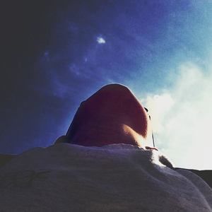 Meet your Posher, Lincoln