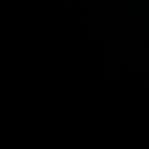 Meet your Posher, Eliana