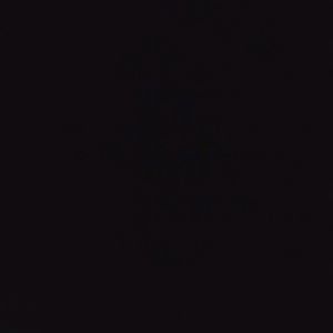 Meet your Posher, Antonio