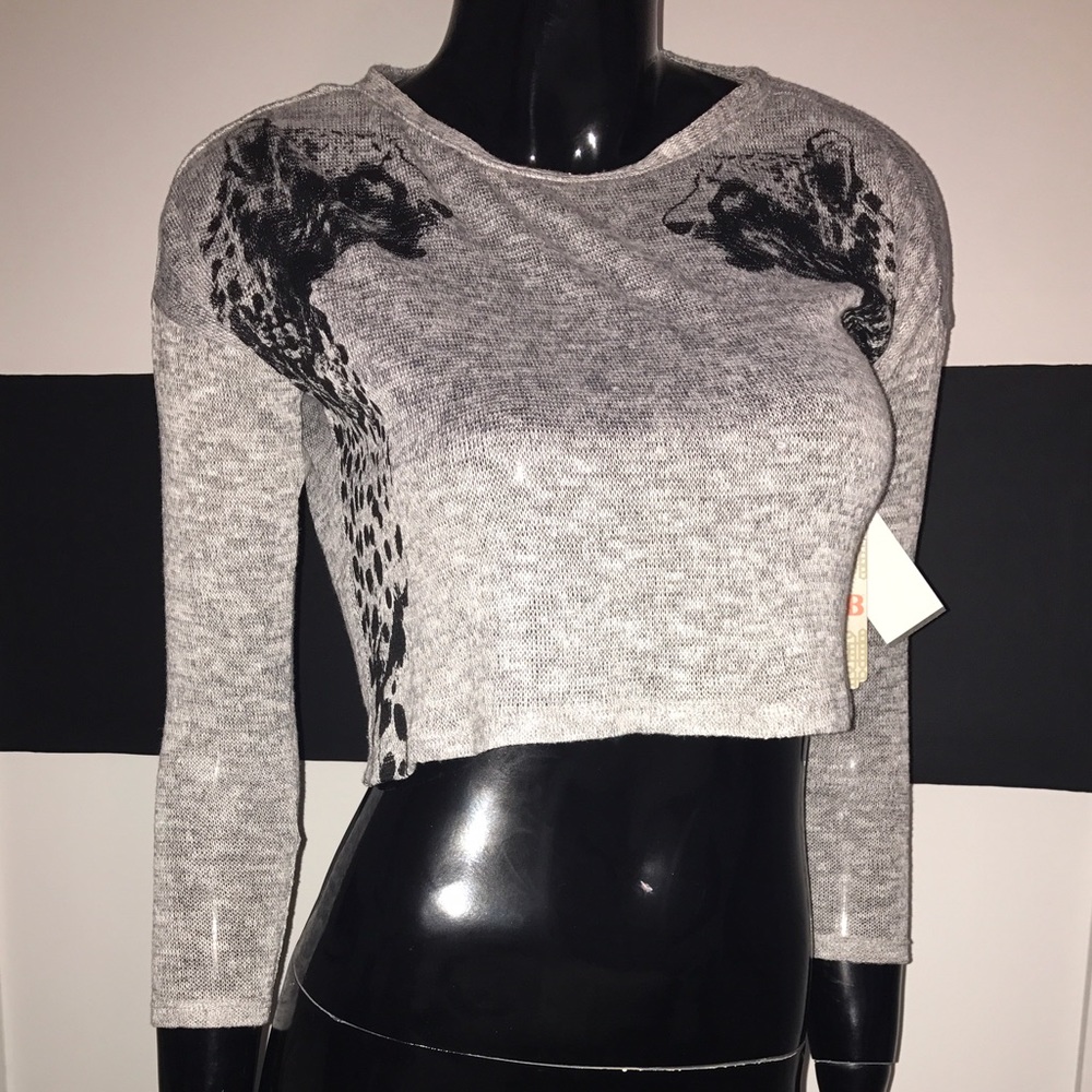 Graphic Cheetah Long Sleeve Crop Top