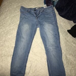 Hollister pants