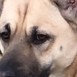 Meet your Posher, Lorilei