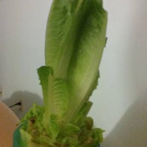 Meet your Posher, Jillian