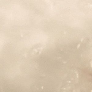 Meet your Posher, Jinhee